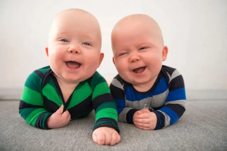 theme enfant wordpress.jpg