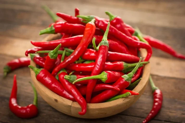 Mon avis sur SEOPepper