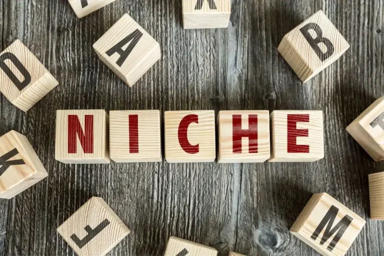 Créer un site de niche