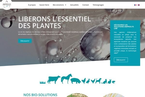 site wordpress amprolys