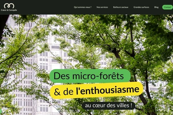 site wordpress coeur et canopee