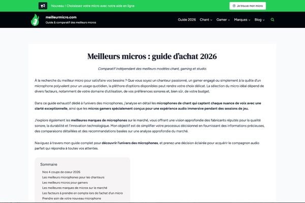 site wordpress meilleur micro