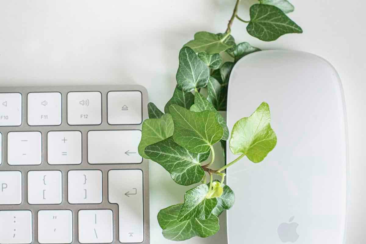 Souris d'ordinateur posée près de feuilles vertes, symbolisant un site web éco-conçu et bien référencé